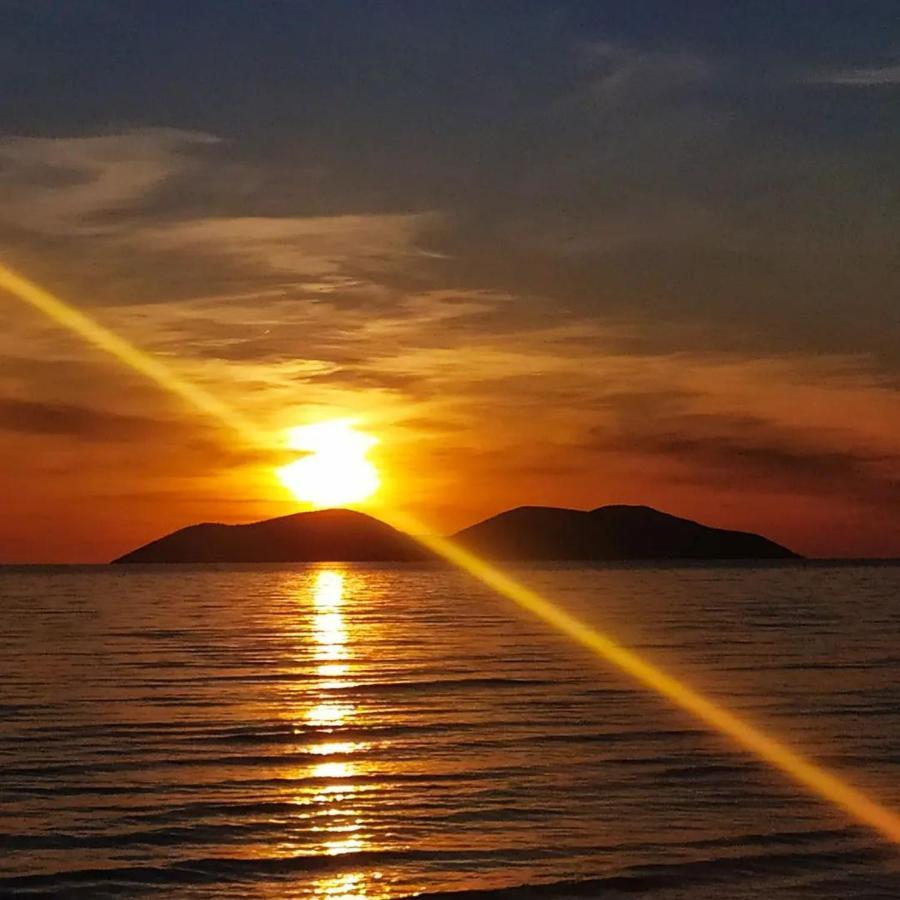 Pinegroove Hostel Vlora エクステリア 写真