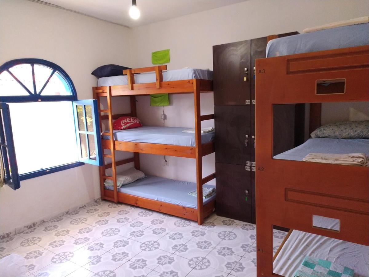 Pinegroove Hostel Vlora エクステリア 写真