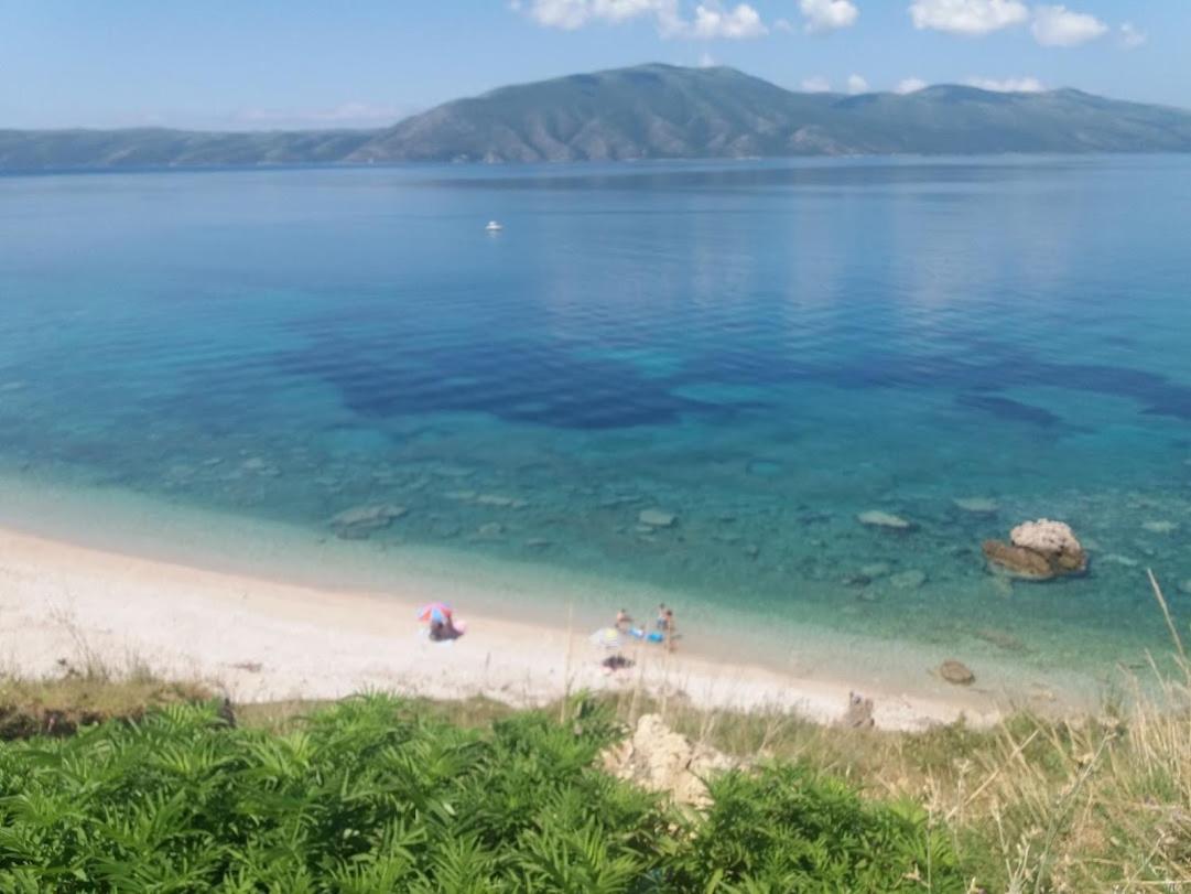Pinegroove Hostel Vlora エクステリア 写真