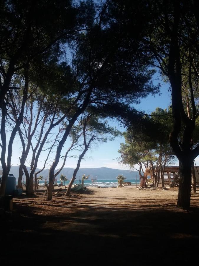 Pinegroove Hostel Vlora エクステリア 写真