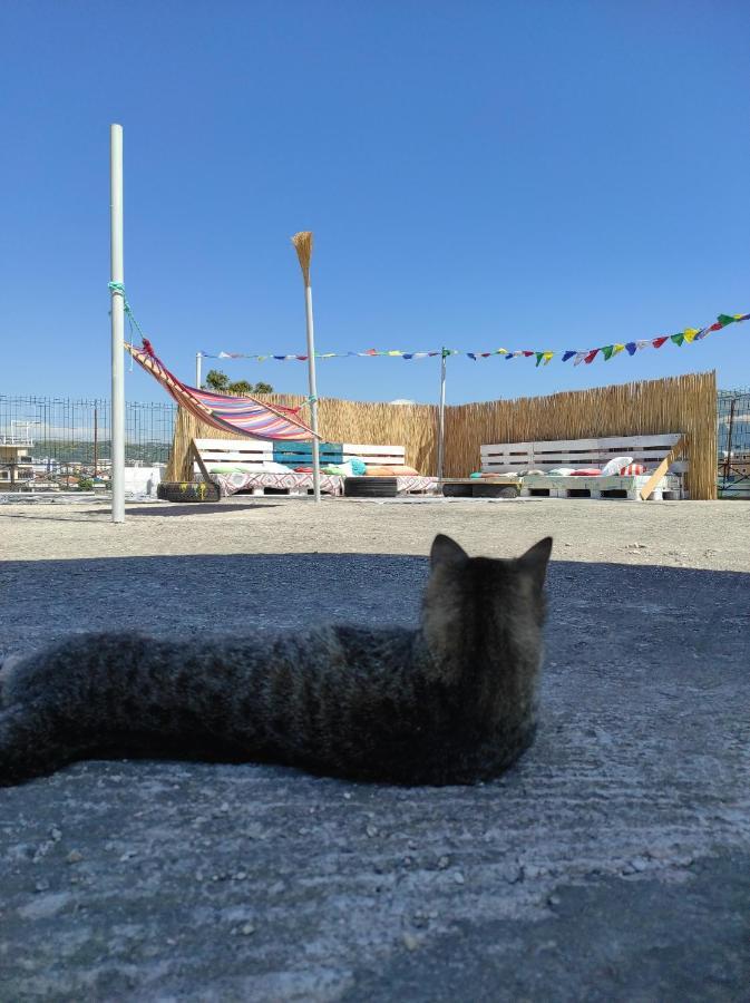 Pinegroove Hostel Vlora エクステリア 写真