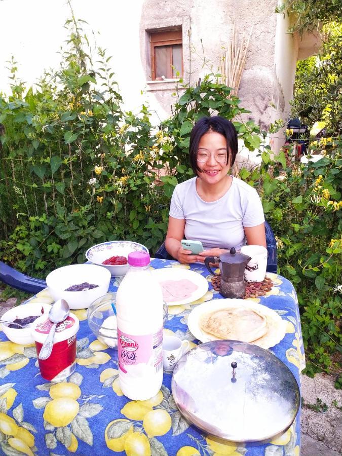 Pinegroove Hostel Vlora エクステリア 写真