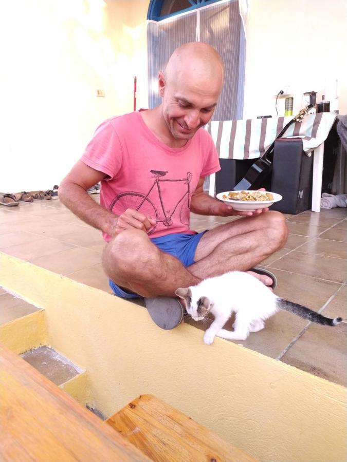 Pinegroove Hostel Vlora エクステリア 写真